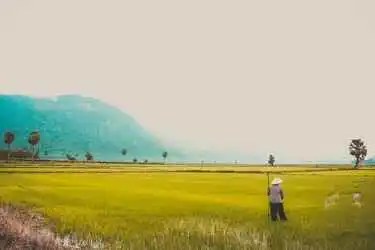 Best Way to Do Eco and Agriculture